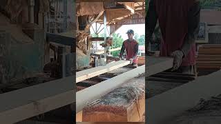 Meranti Wood bandsaw wood [upl. by Vano]