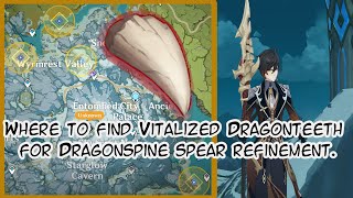 Genshin Impact Where to Find Vitalized Dragontooth Dragonspine Spear Refinement Material [upl. by Schaab961]