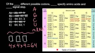 Codons and Amino acids [upl. by Greerson]