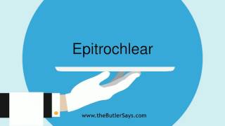 Learn how to say this word quotEpitrochlearquot [upl. by Einaoj]