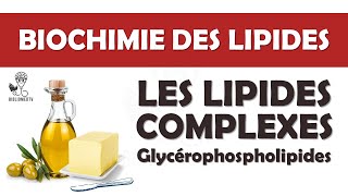 Biochimie des Lipides Complexes  les Glycérophospholipides [upl. by Ynnoj]