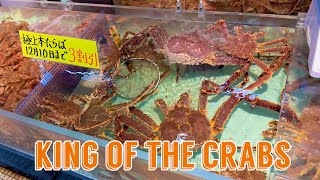 King Crabs of Northern Japan Hokkaido [upl. by Karly]