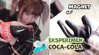 EKSPERIMEN COCACOLA JADI MAGNET Shorts [upl. by Lhadnek]