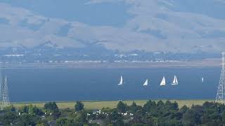 Spinnaker Sailing Class  June 19 2024  San Francisco Bay [upl. by Asylem959]