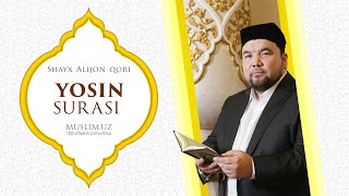 Yosin surasi  Shayx Alijon qori [upl. by Nomis]