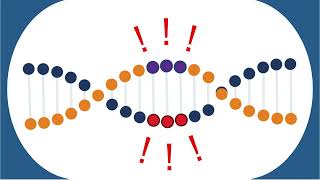 NIH Common Funds Somatic Mosaicism across Human Tissues SMaHT Network [upl. by Mobley]