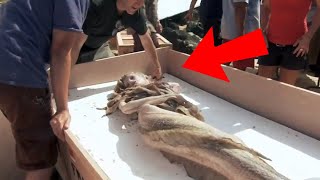 10 REAL LIFE MERMAIDS Caught On Camera [upl. by Uht]