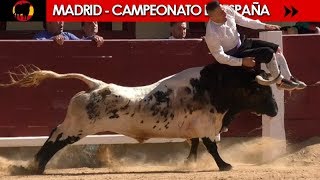 ✅ FINAL DEL CAMPEONATO DE ESPAÑA DE RECORTADORES CON TOROS 2018  MADRID 07102018 [upl. by Haughay180]