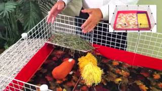 Guinea Pig Cages  Fleece Flippers™  Modular in Action [upl. by Noy]