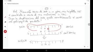 Esercizio su trascrizione e traduzione mutazione puntiforme [upl. by Aivilys]