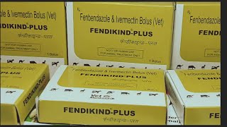 FendikindPlusFenbendazole amp Ivermectinइस बोलस का उपयोग पशुओं में कब कैसे करें  Manjhi Veterinary [upl. by Ennaxor180]