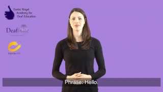 Learn Basic Greetings in British Sign Language BSL [upl. by Anaujnas]