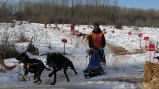 Manitoba Trappers Festival  2017 World Championship Dog Race [upl. by Ohcamac]