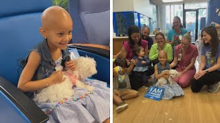 5YearOld Cancer Patient Surprised With New Puppy [upl. by Shirah]