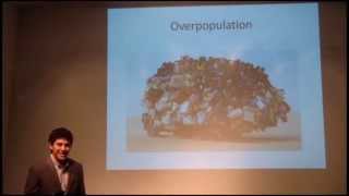 TED Talk Underdeveloped Countries and Overpopulation [upl. by Erdeid]