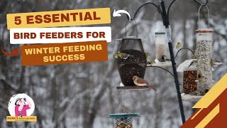 5 Essential Bird Feeders For Winter Feeding Success [upl. by Llertnek500]