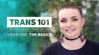 Trans 101  The Basics [upl. by Anenahs645]