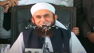 Molana Tariq Jammel Bayan  Short Bayan  Islamic Insights [upl. by Jory]