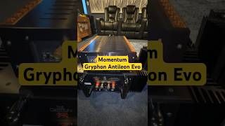 Gryphon Antileon Evo amp Momentum S250 MXV  How Do They Compare poweramplifier hifiaudio [upl. by Egdirdle]