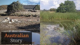 Natural sequence farming How Peter Andrews rejuvenates droughtstruck land  Australian Story [upl. by Mckenna396]