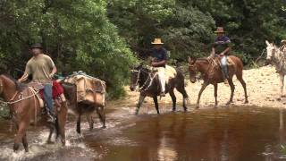 Fazenda dos Inhames cenários de Grandes Sertões Veredas [upl. by Eycats]