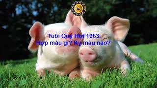 Tuổi Quý Hợi 1983 Hợp màu gì Kỵ màu nào [upl. by Suellen327]