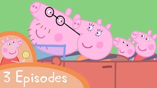 Peppa Pig  The family car compilation 3 episodes [upl. by Enawtna]