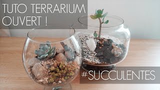 TUTO Terrarium ouvert avec des succulentes  entretien  DTerrariums 🌿 ft AuCactusVosgien 🌵 [upl. by Wiggins]