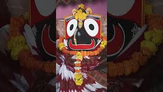 Jagannath Darshan 🙏🏻🙏🏻Whatsapp Status jagannathpuribhagwatsaptah live [upl. by Zora]