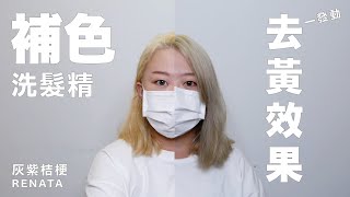 漂髮褪色變黃？霧灰質感不見了？居家去黃神器 RENATA 灰紫桔梗 補色洗髮精 [upl. by Elbag]