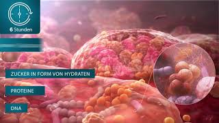 ConvaTec Erklärvideo  Was ist Biofilm [upl. by Airret330]