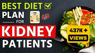 Best Diet Plan for Kidney Patients  By Dr Puru Dhawan [upl. by Naesar]