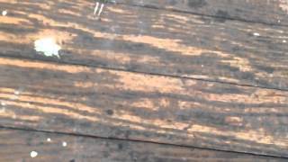 How to identify wood floors in old houses [upl. by Evslin]