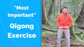 quotMost Importantquot Qigong Exercise for Beginners [upl. by Zurn931]