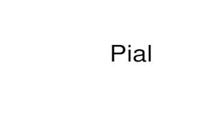 How to pronounce Pial [upl. by Burton81]