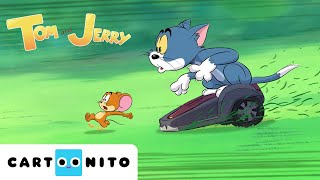 TOM VE JERRY  Çifte Sorun  YENİ Çizgi Film  CartoonitoTurkiye [upl. by Sikras]