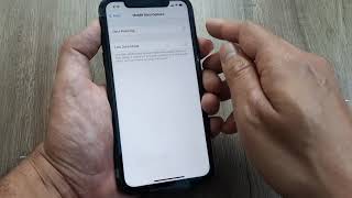 how to enable data roaming on the iphone  iphone11 turnroamingon [upl. by Aisats619]