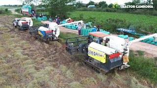 That Useful Combine Harvester Kubota DC105X Harvest Rice  Farmer Harvesting Machines amp Crop Tools [upl. by Nuavahs830]