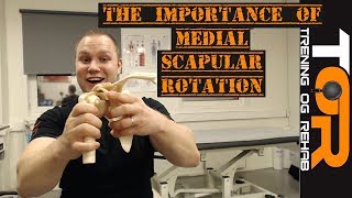 The importance of medial scapular rotation [upl. by Ahsele]