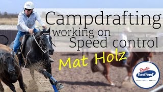 How to work on speed control in campdrafting [upl. by Koffler841]