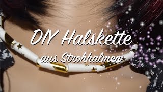 Halskette aus Strohhalmen  Party DIY Gadget  Upcycling [upl. by Sisenej]