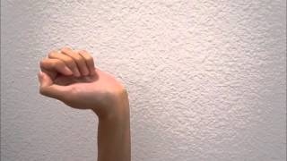 Home Exercise Program Carpal Tunnel Syndrome [upl. by Lust]