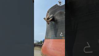 Huge Cargo Ship 😯new haldia hugeship bigship cargoship haldiadockcomplex youtubeshorts ship [upl. by Dric]