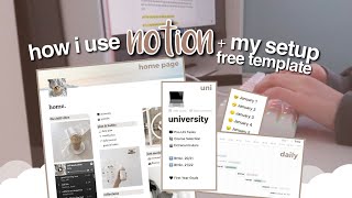 how i plan amp organize my life using notion  templates 🌟 [upl. by Aicirtam]