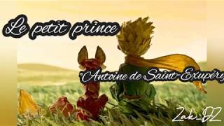 Le petit prince texte audio pour enfant et adulte [upl. by Laemaj588]