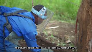 How demining is helping communities in Zimbabwe [upl. by Procora478]