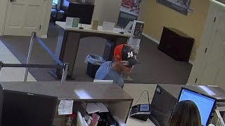 Manatee deputies search for Wells Fargo bank robber [upl. by Nayr]