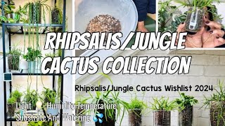 How I Care For My RhipsalisJungle Cactus Collection amp My 2024 Wishlist 🌵 [upl. by Ardnuasak909]