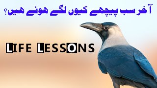 CROW Storys latest version 🐦‍⬛ lifelessons motivation inspiration stories [upl. by Noreht]