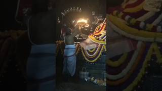 Sri Venkateshwara suprabatham om namo venkateshaya youtube trending ytshorts [upl. by Randie]